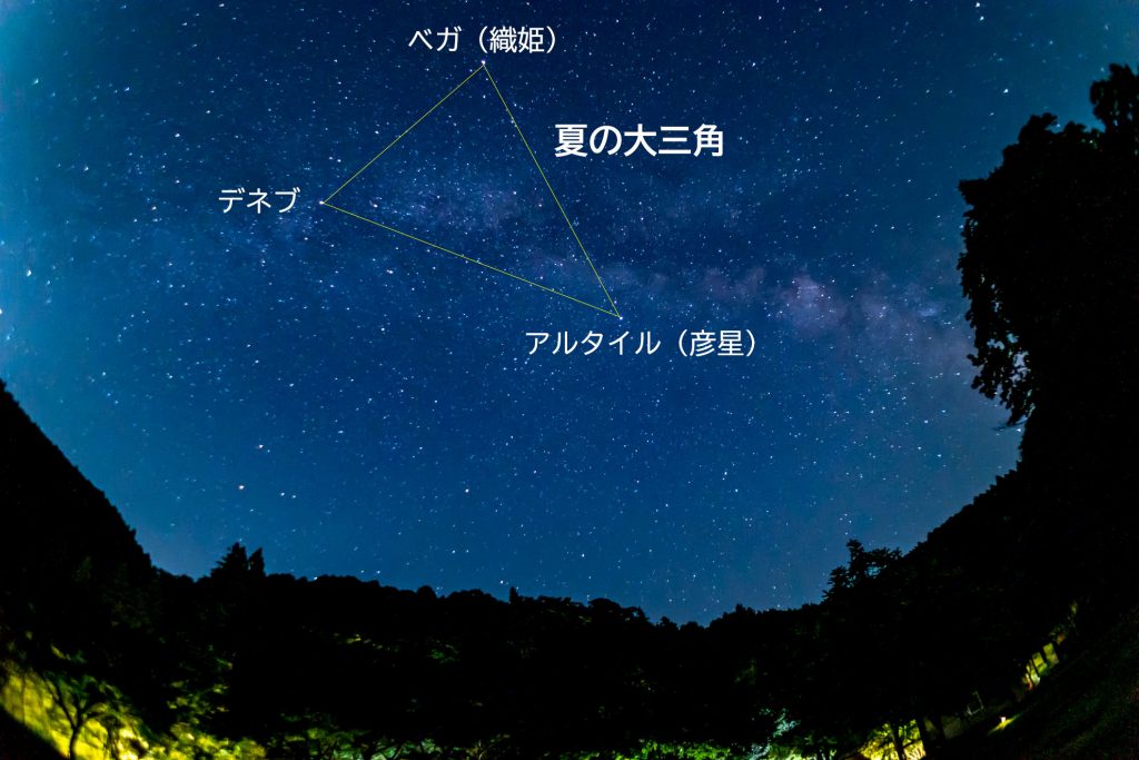 7/16日22時頃、上段西側区画より東に向かって撮影